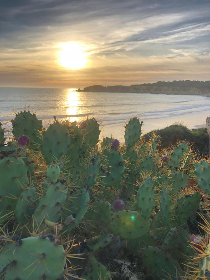 Sol E Mar Bemposta Daire Alvor Dış mekan fotoğraf